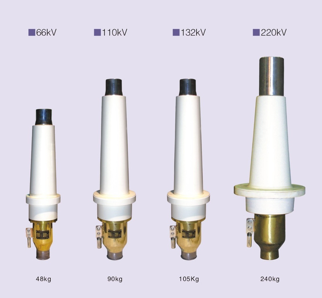 64/110kV GIS Termination